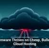 Ransomware Thrives on Cheap, Bulletproof Cloud Hosting